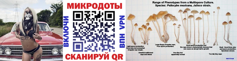 Псилоцибиновые грибы Magic Shrooms как найти закладки Задонск