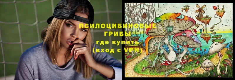 Псилоцибиновые грибы Psilocybe  купить закладку  Задонск 